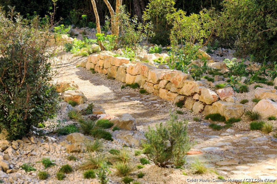 Jardin sec à Grasse, au festival des jardins de la Côte d'Azur 2023 