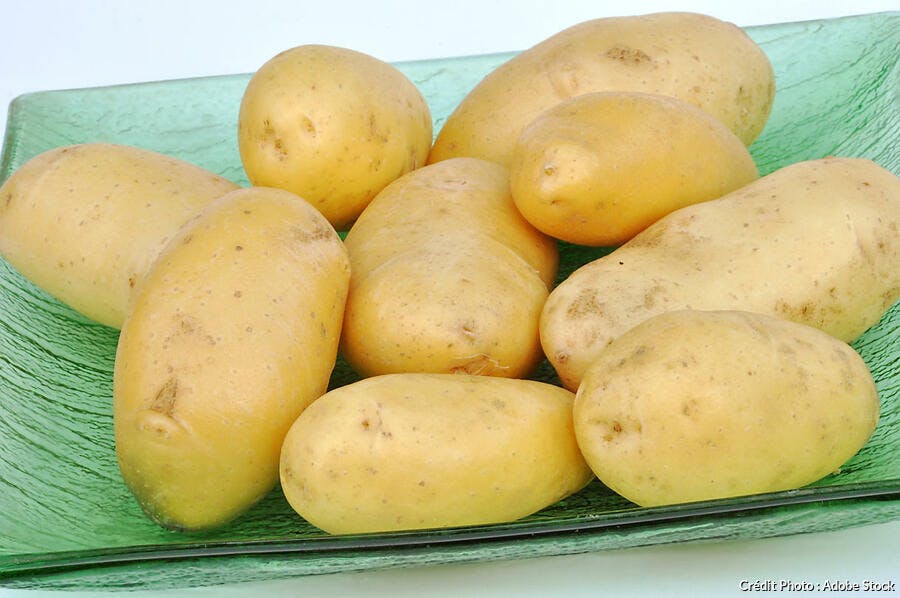 Pommes de terre Belle de Fontenay dans une assiette 