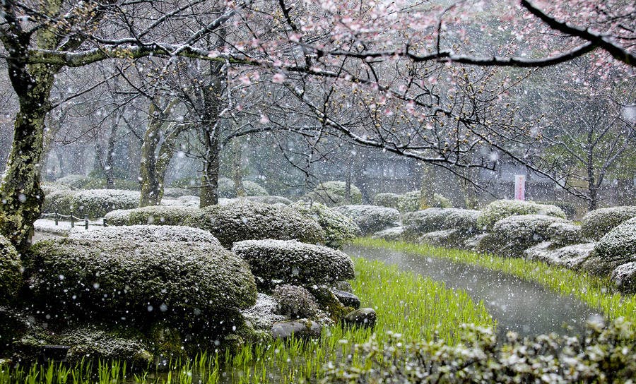 Kenroku-en jardin japonais 