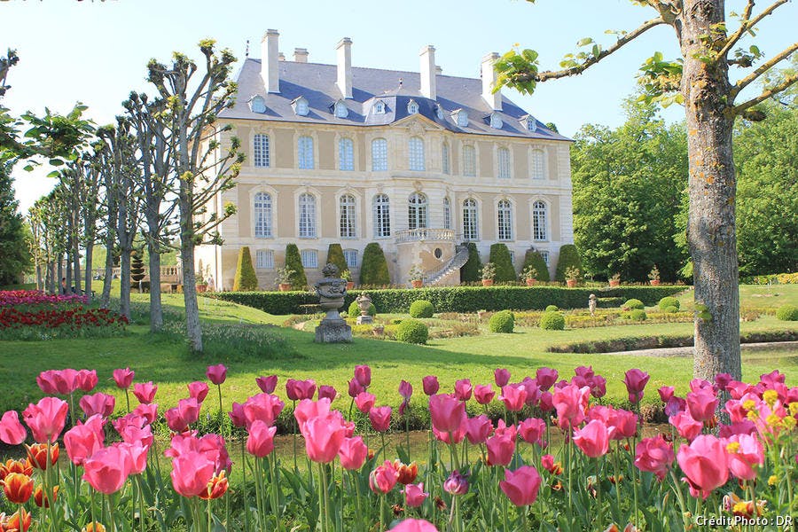 Tulipes chateau Vendeuvre 
