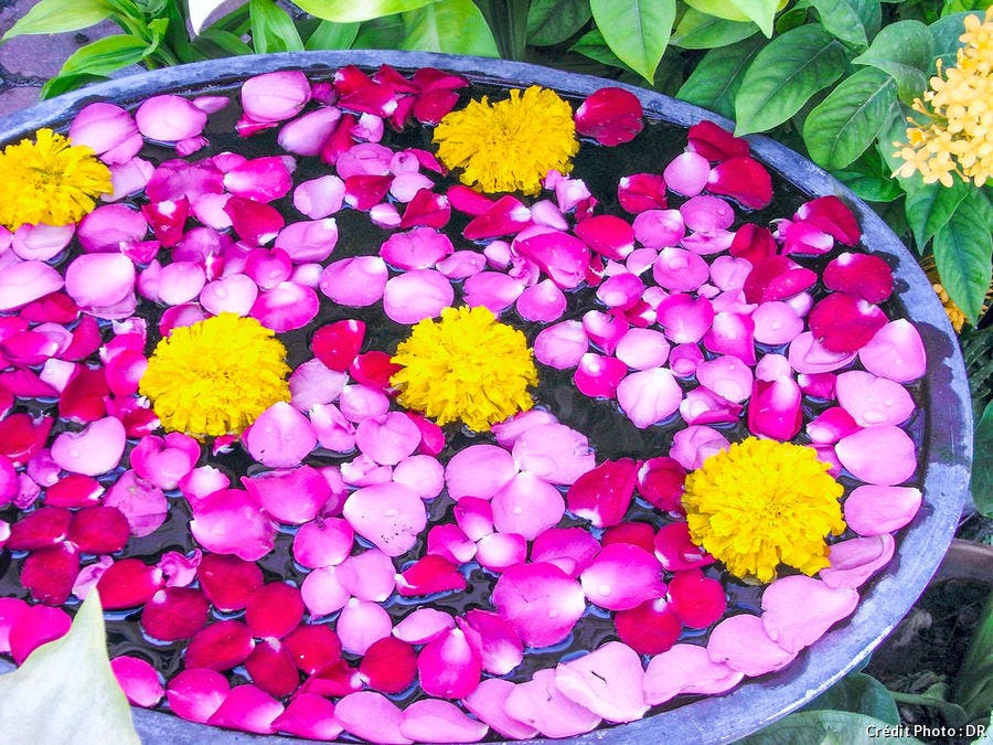 vasques fleuries aux couleurs pops 