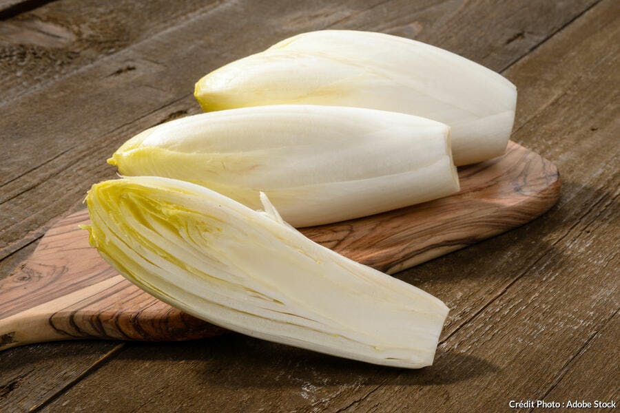 Endives blanches 