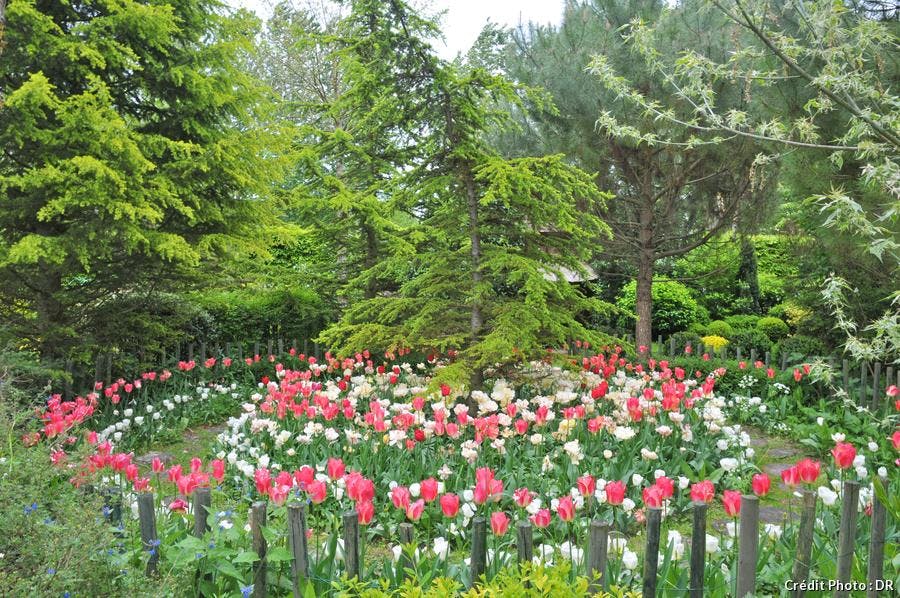 Vendeuvre tulipes labyrinthe 