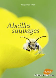 djweb_abeillessauvages_couverture_abeilles_sauvages.jpg